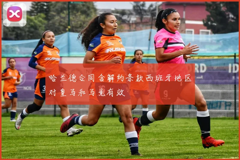 哈兰德合同含解约条款西班牙地区对皇马和马竞有效